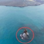 Muncul Daratan Baru Seluas 30,3 Hektare di Dekat Anak Krakatau, Benarkah Cucu Krakatau?